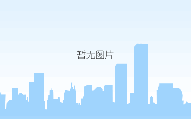 中期报告2021